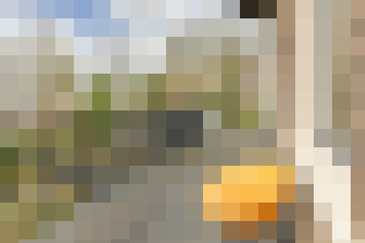 Image 31