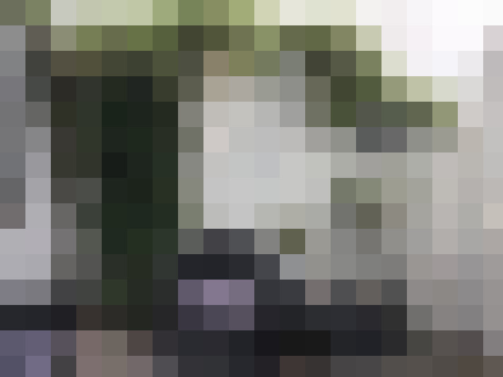 Image 25