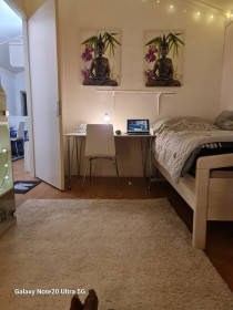Room in 's-Gravenhage
