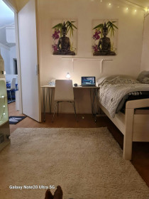 Room in 's-Gravenhage