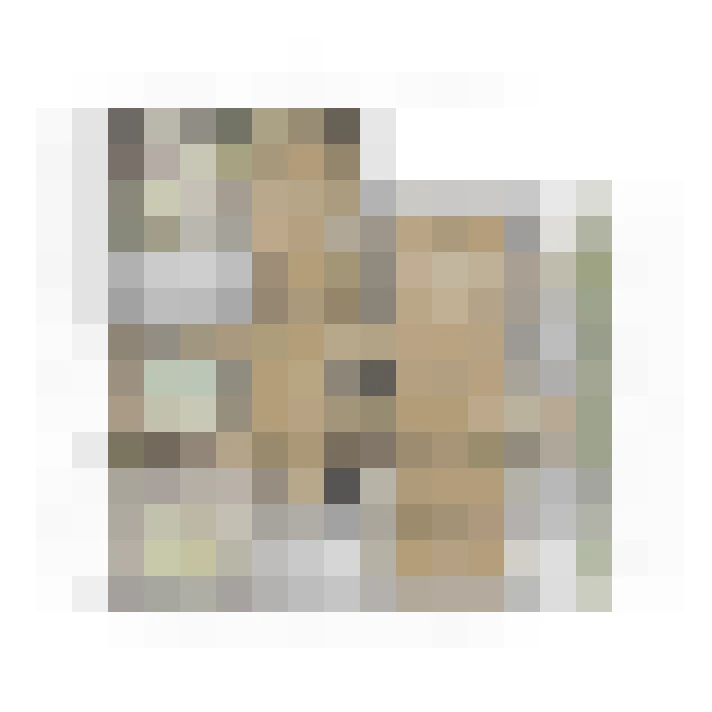 Image 22