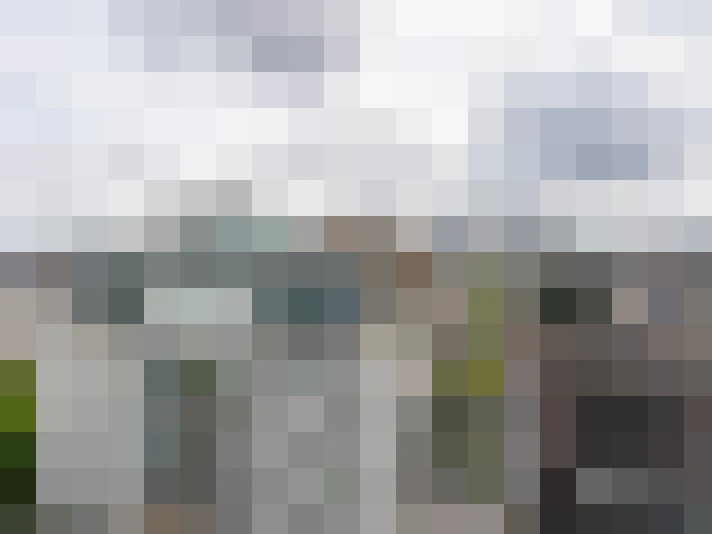 Image 63