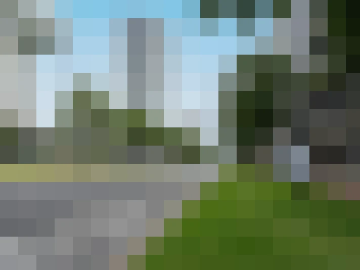 Image 54