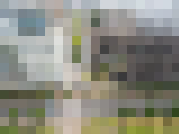 Image 59