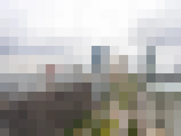 Image 66