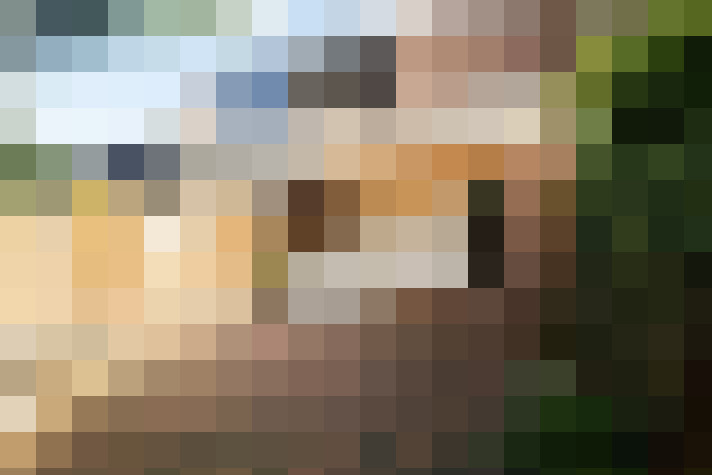 Image 20