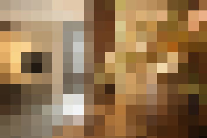 Image 22