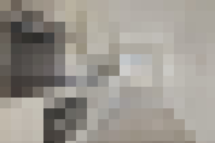  / #11