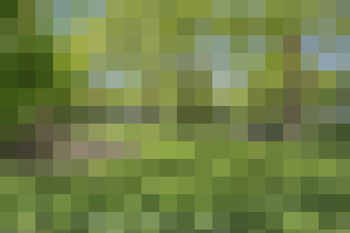 Image 18