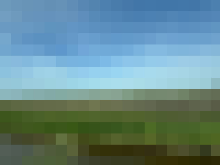 Image 26