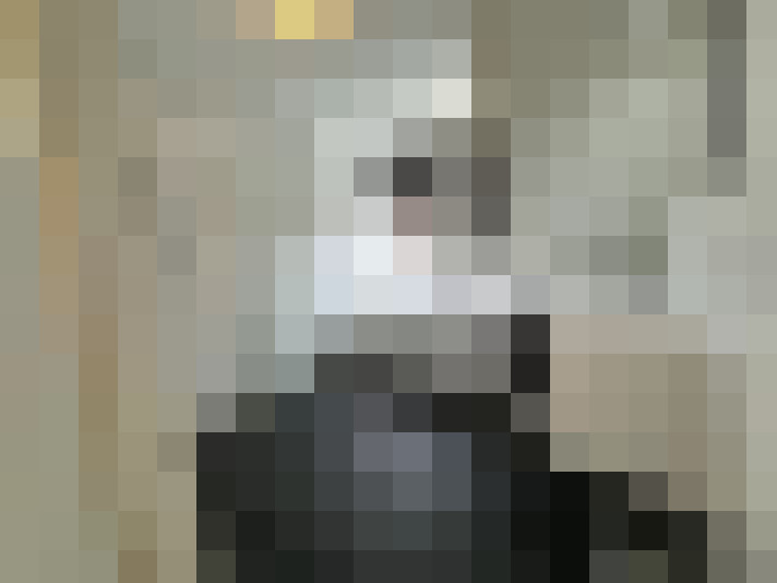 Image 13