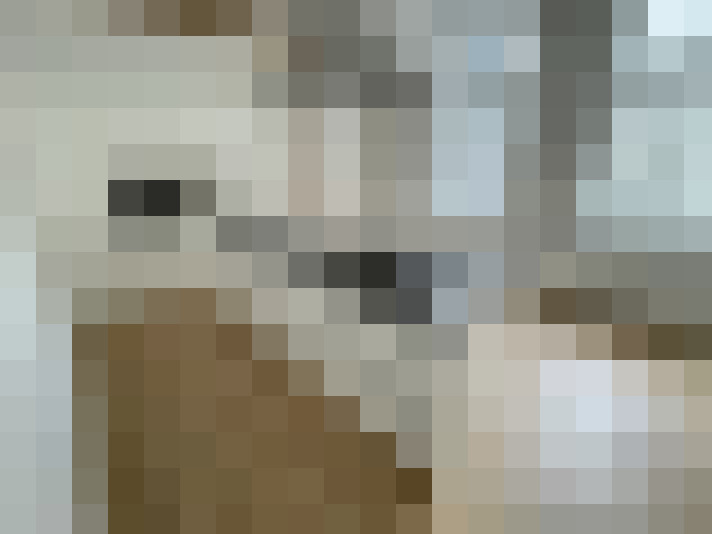  / #7
