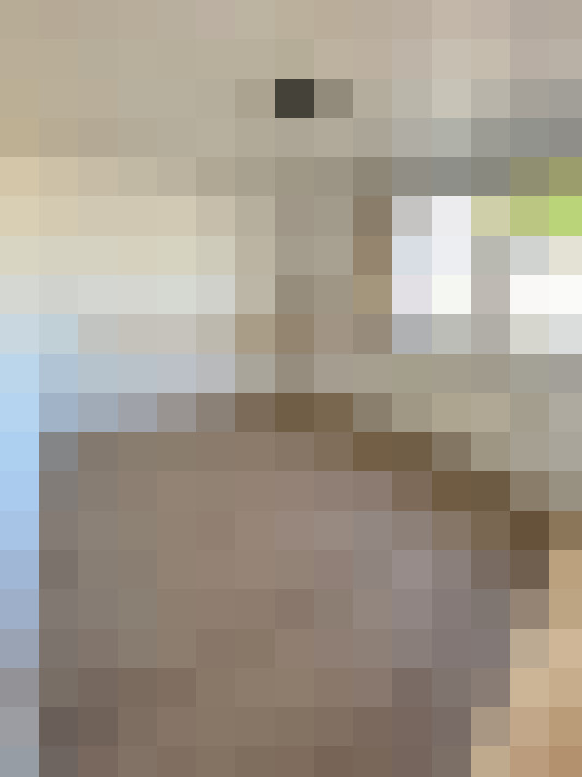  / #13