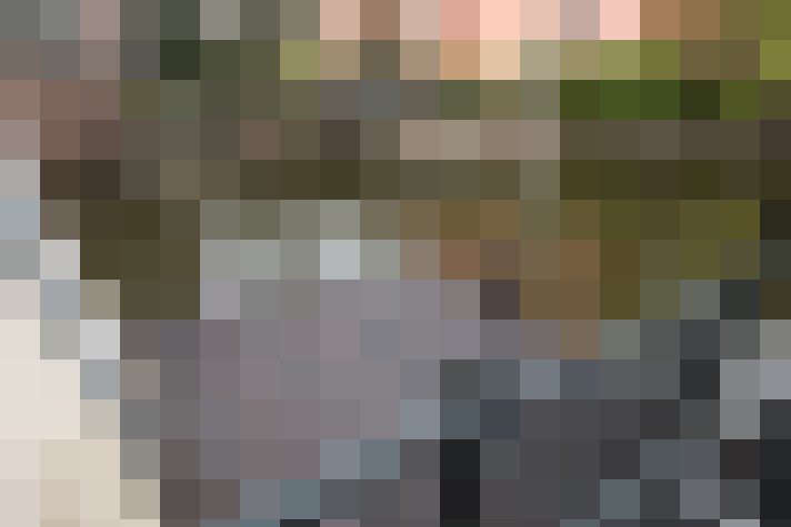 Image 15