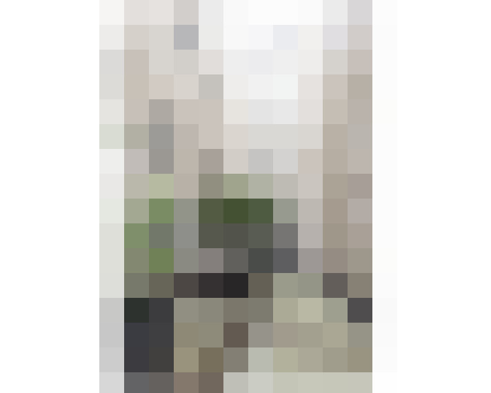 Image 36