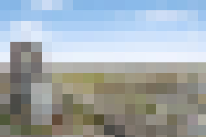 Image 22