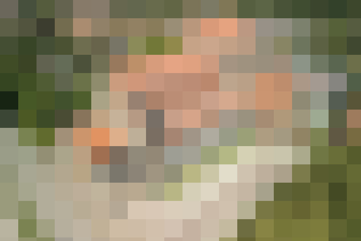 Image 78