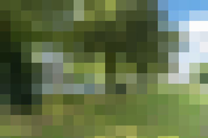 Image 93