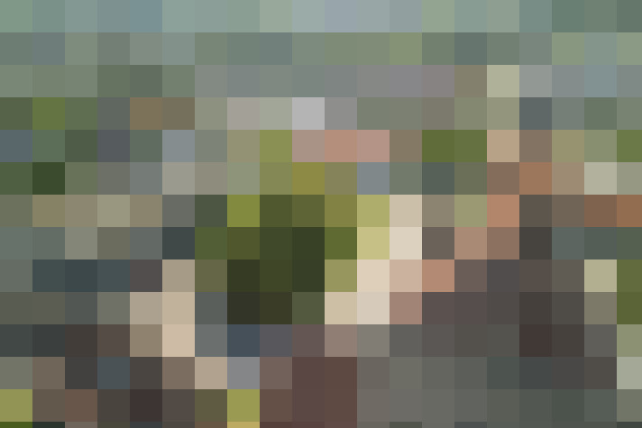 Image 88