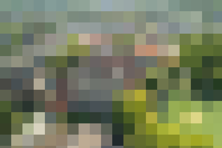 Image 90