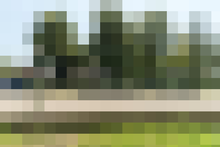 Image 75