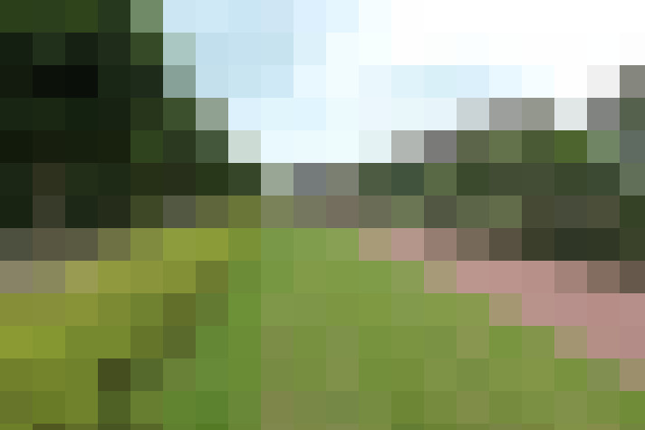 Image 22