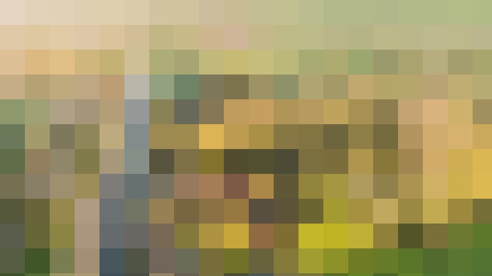 Image 29