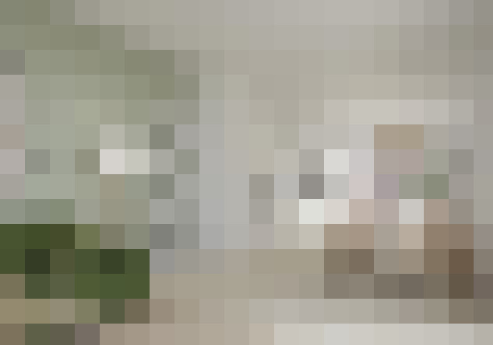  / #14