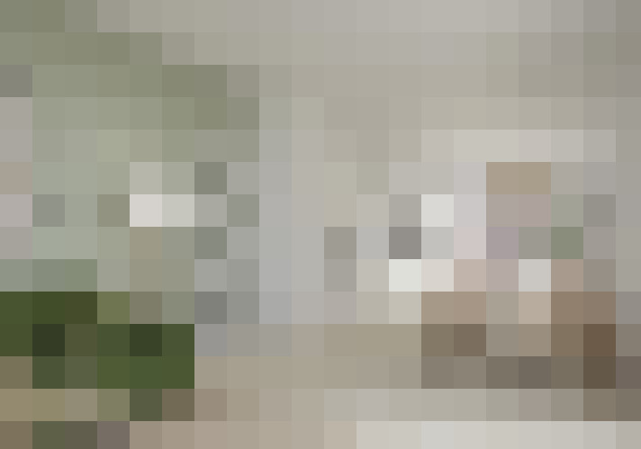  / #15