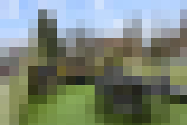 Image 30