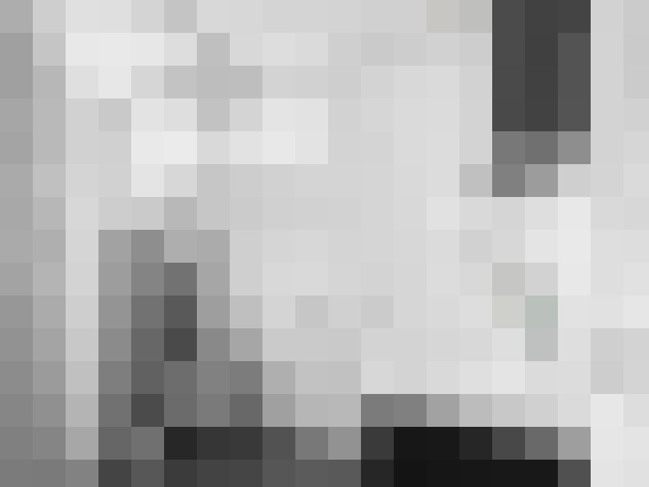 Image 20