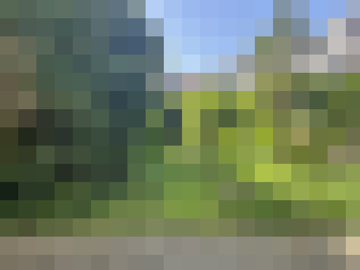 Image 16