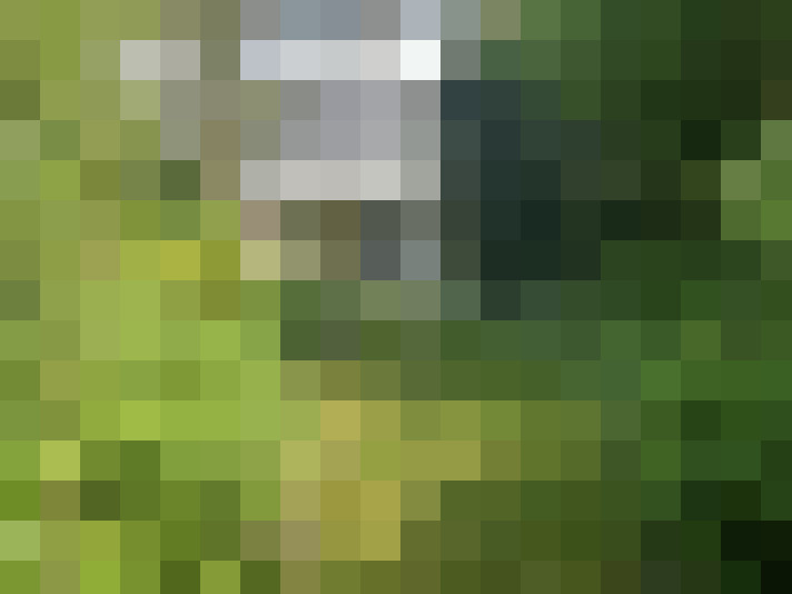 Image 18