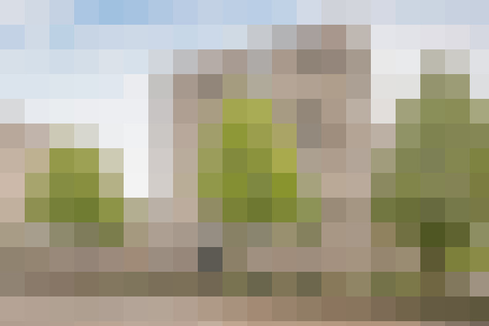 Image 22