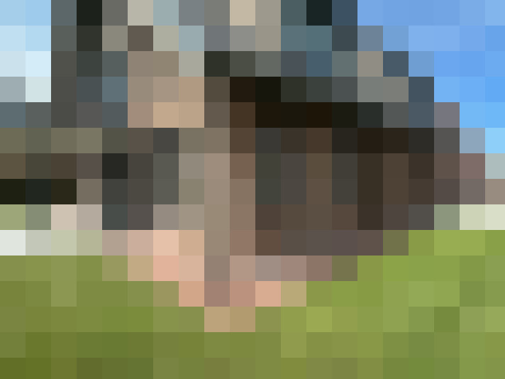 Image 33