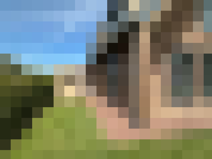 Image 36