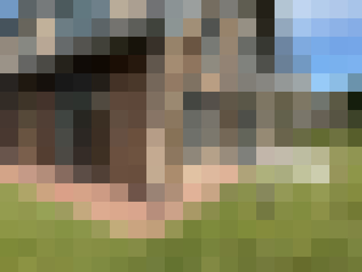 Image 31
