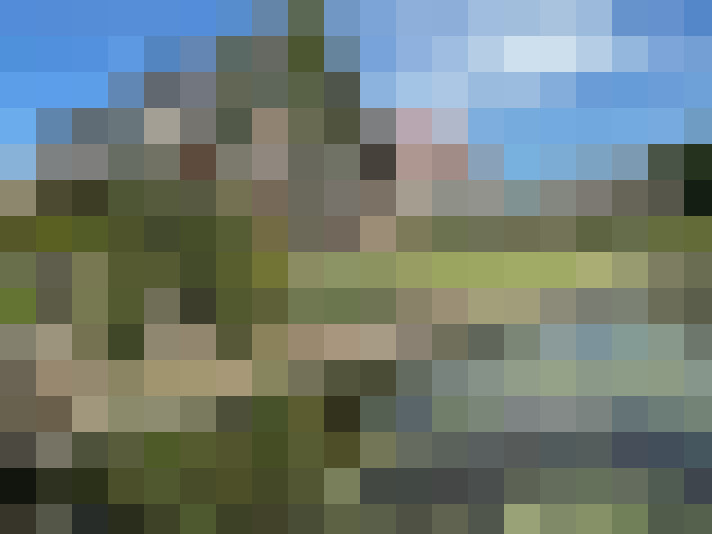 Image 83