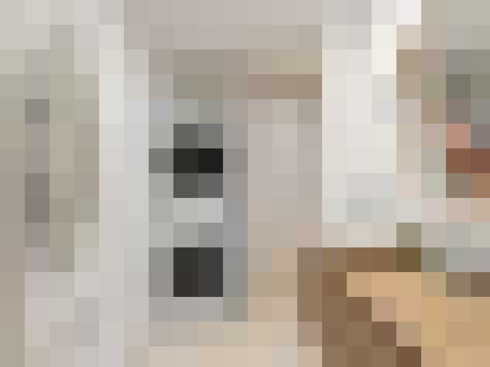  / #17