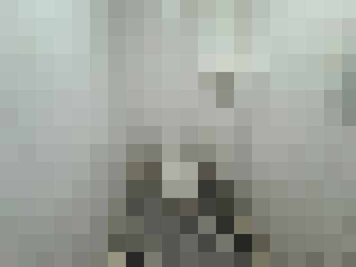  / #11