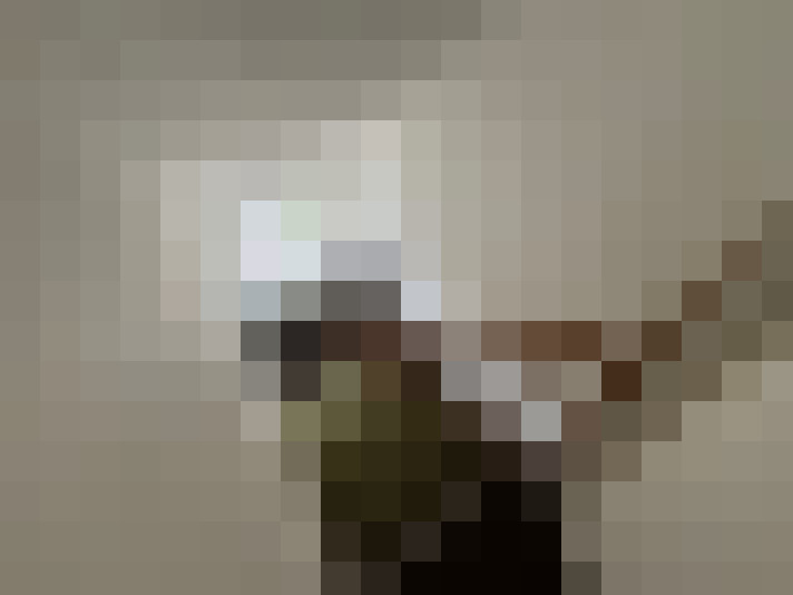  / #22