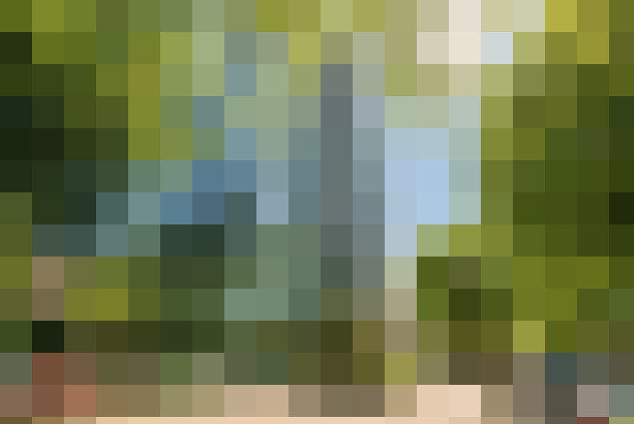 Image 14