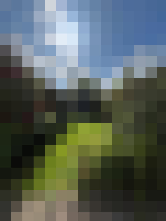 Image 32