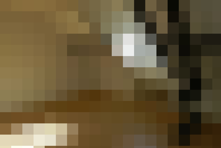  / #8