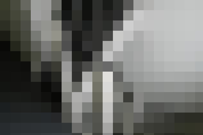  / #11