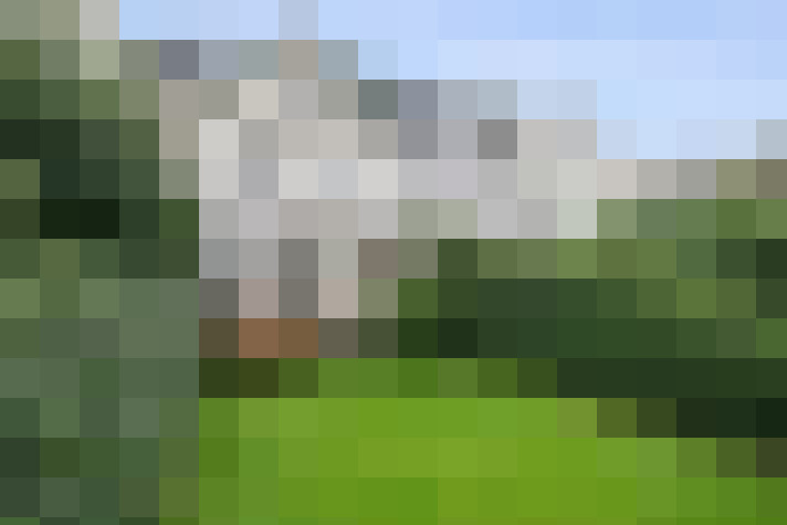 Image 38