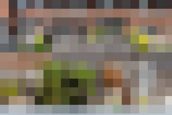 Image 29