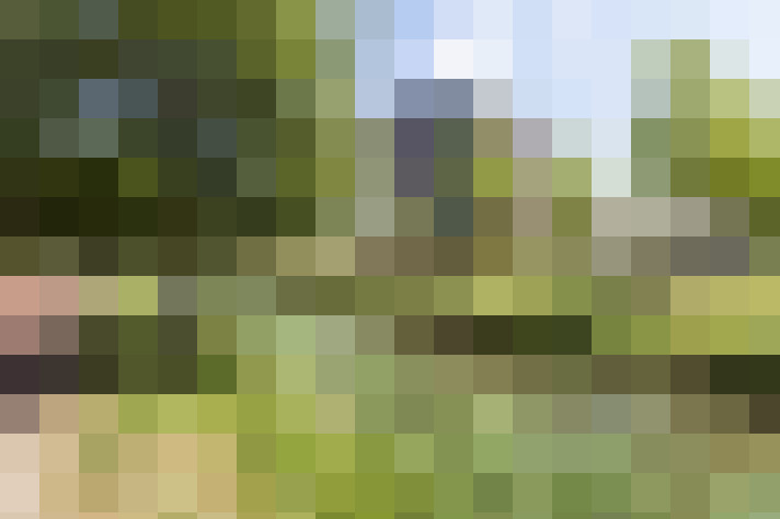 Image 63