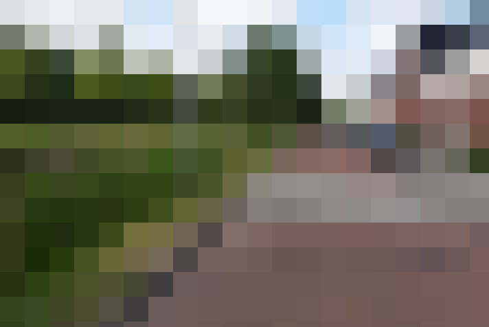 Image 59