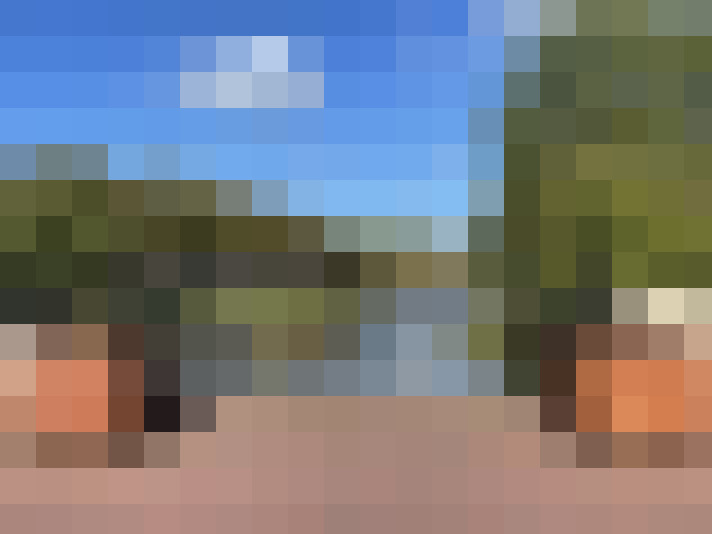Image 47